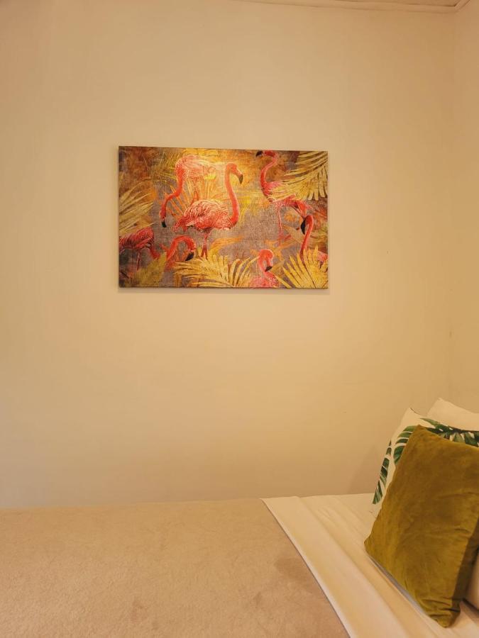 Lizard King Hotel & Suites Puerto Viejo de Talamanca 外观 照片