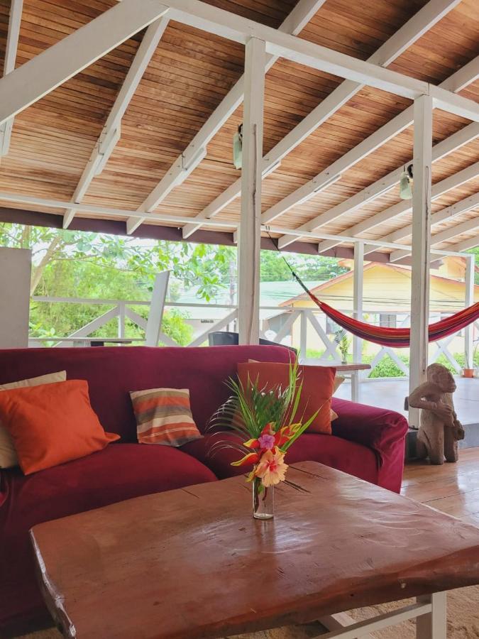 Lizard King Hotel & Suites Puerto Viejo de Talamanca 外观 照片