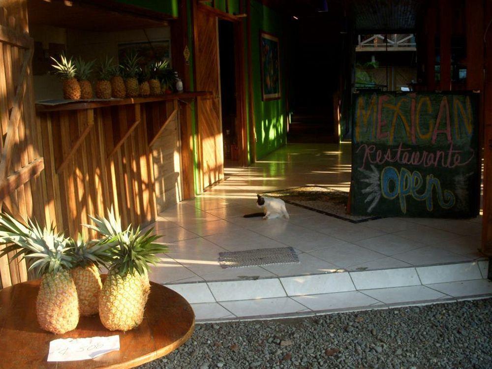 Lizard King Hotel & Suites Puerto Viejo de Talamanca 外观 照片