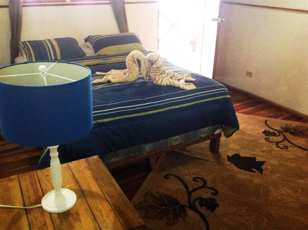 Lizard King Hotel & Suites Puerto Viejo de Talamanca 外观 照片